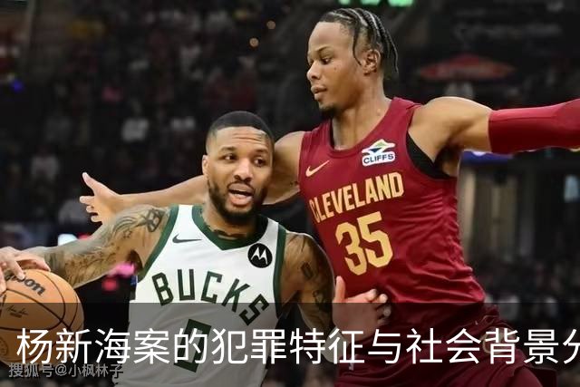杨新海案的犯罪特征与社会背景分析